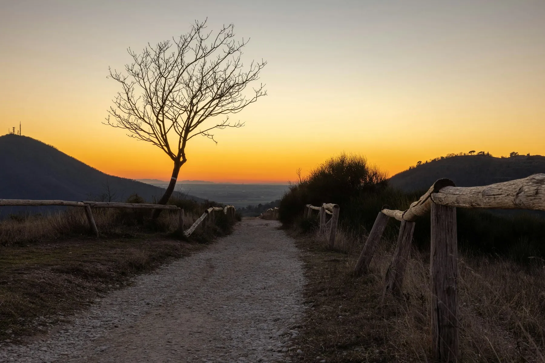 Una passeggiata speciale